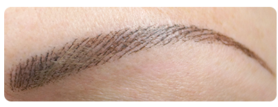 Augenbrauen 400x2605